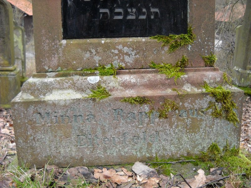 Grab von Minna Rapp